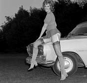 pinup510.jpg