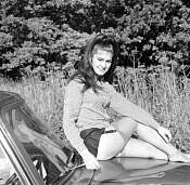 pinup541.jpg